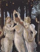 Sandro Botticelli La Primavera (mk39) oil